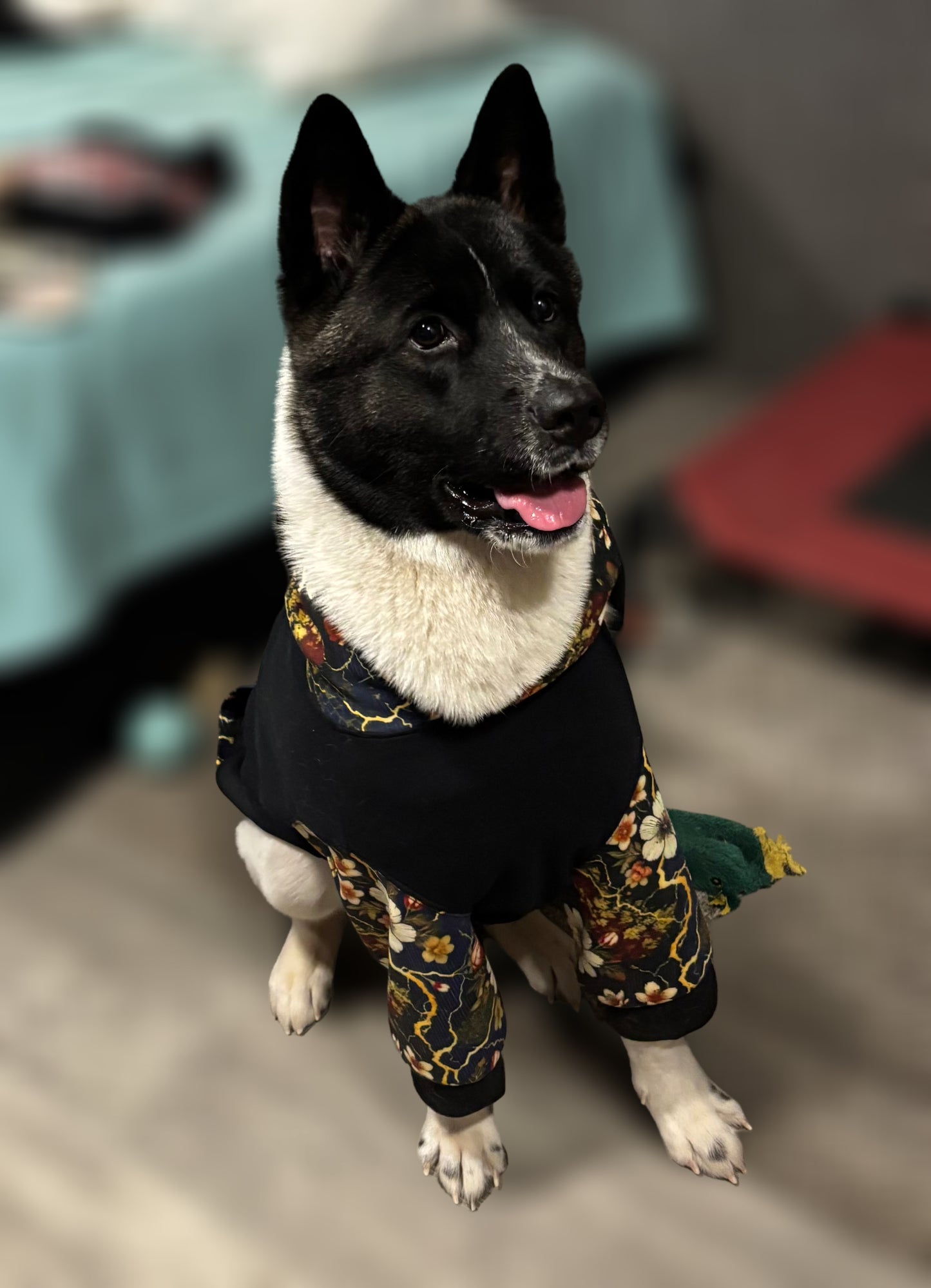 Wolf & Sparrow Pet "Kintsugi" Hoodie