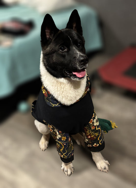 Wolf & Sparrow Pet "Kintsugi" Hoodie